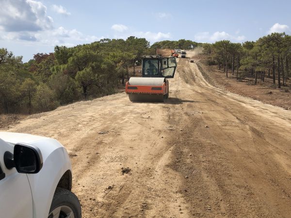 Cost of Driveway Grading in Bend
