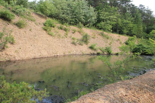 Pond Erosion Repair in Bend