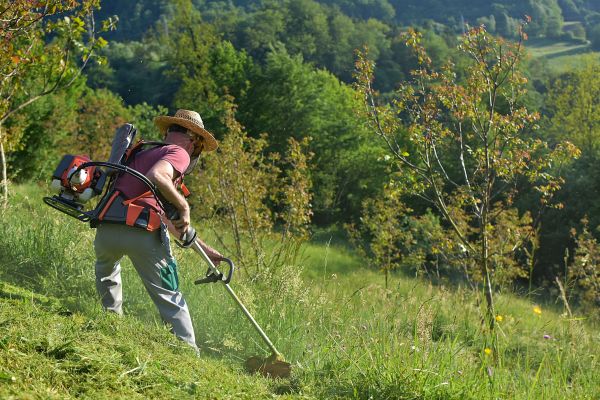 Cost of Slope Trimming in Bend